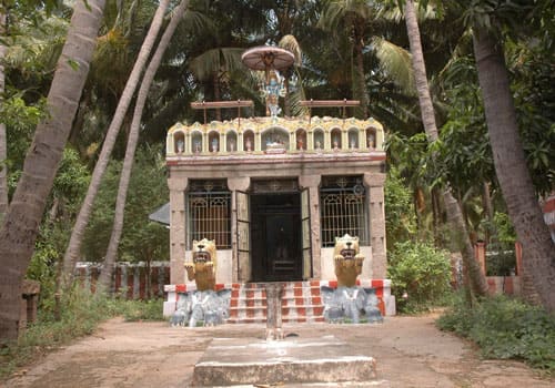 Arulmigu Narajhinghabh Perumal Thirukoyil